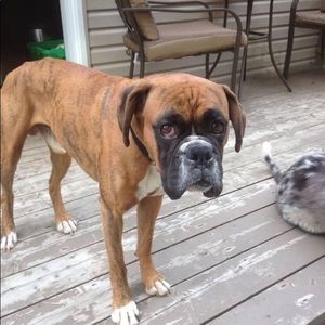 Meet your Posher, Patrick